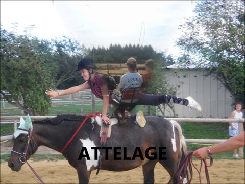 Ecuries jul'hyppos Etriché Poney club Pension