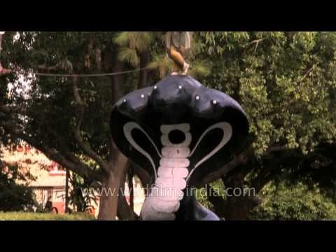 Devotees coming out from Birla Mandir on the eve of Janmashtami