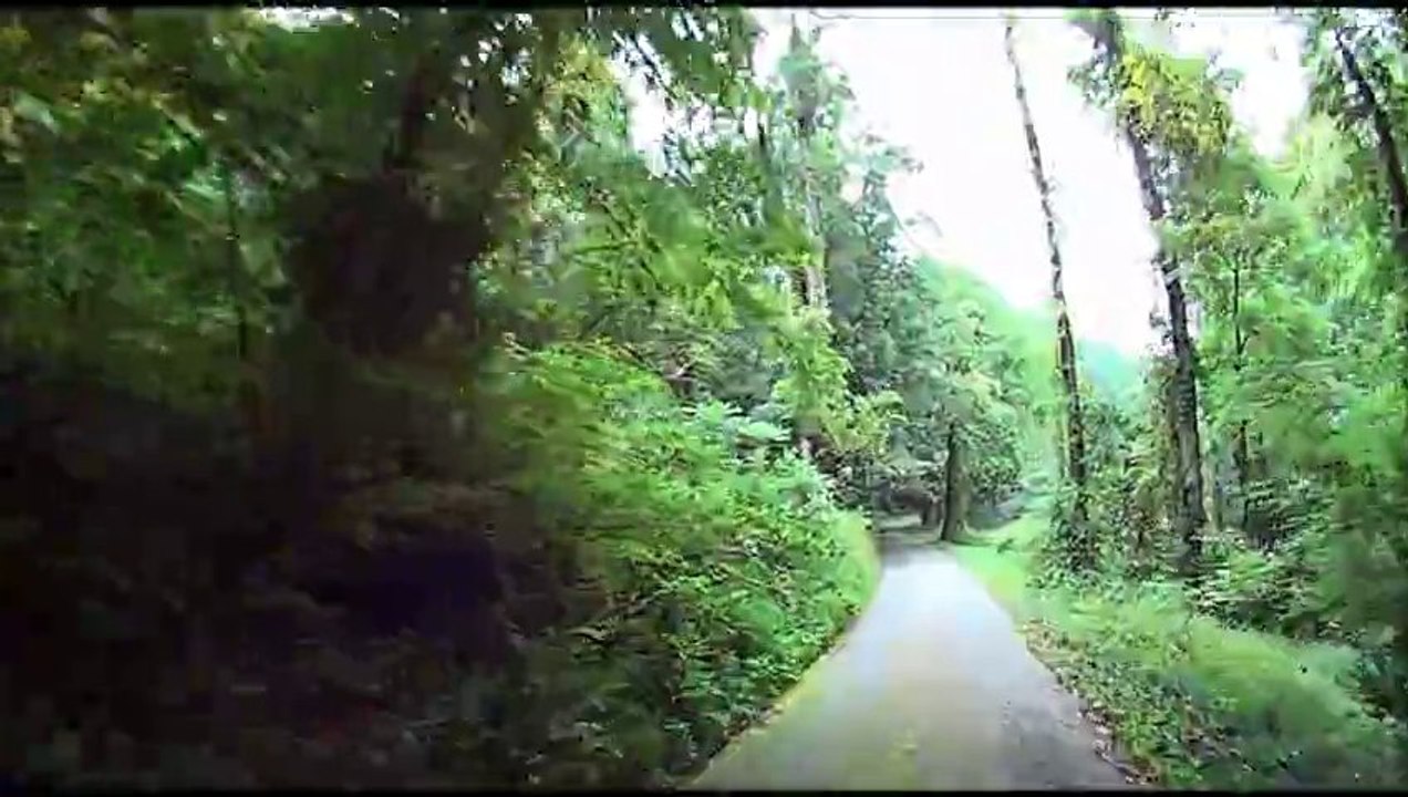 Gatlinburg 2