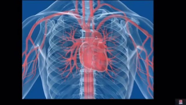 Omega 3 Fish Oil-The Benefits & The Reason You May Need It!