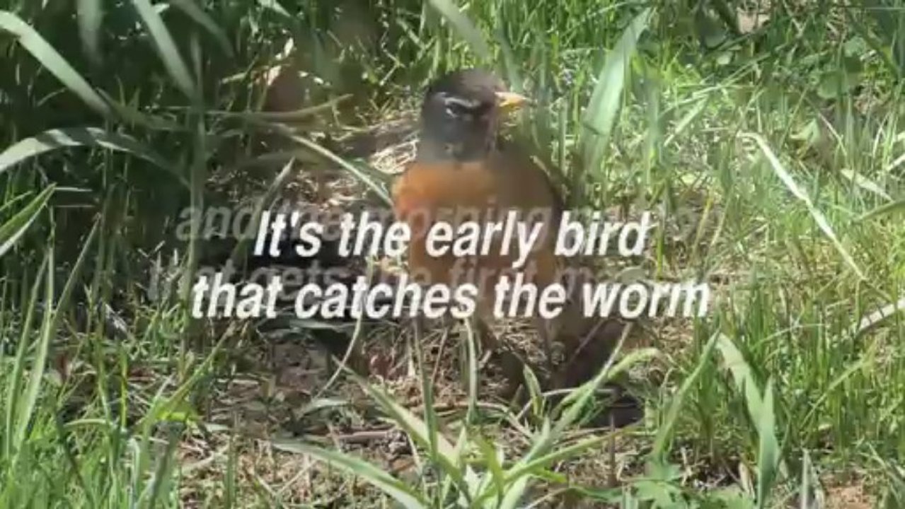 It's the early bird that catches the worm - Royalty Free Massage Therapy Video #150