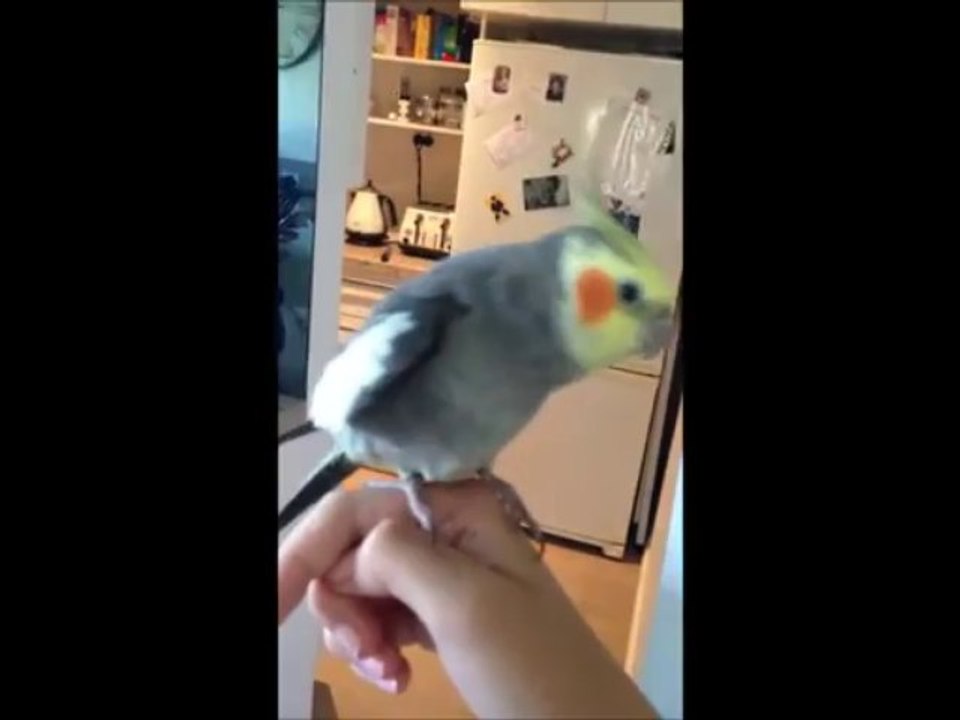 Testing video