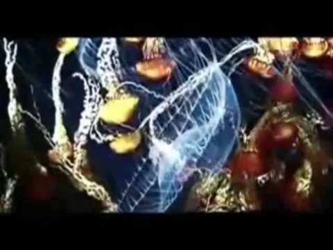 Nunzio Buono - Sono ricordi
