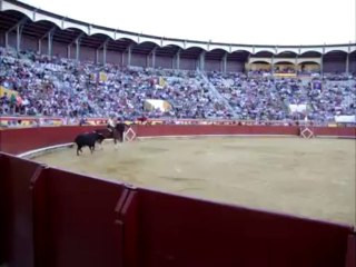 HERMOSO A HOMBROS EN PALENCIA