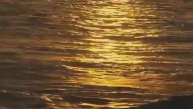 Nunzio Buono - Forse è domani forse
