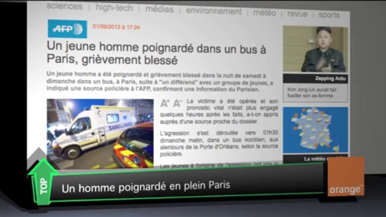 "Top Média" : un petit chat un peu trop curieux à la Une