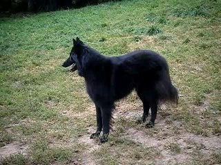 Boyka en vacances 🏖️