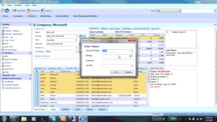 CRMCulture - Productivity Pack Batch Editor
