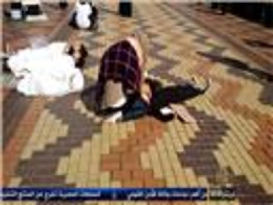 فعاليات الجالية المصرية المؤيدة للشرعية