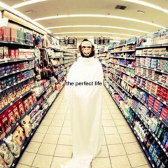 Moby - The Perfect Life (extrait)