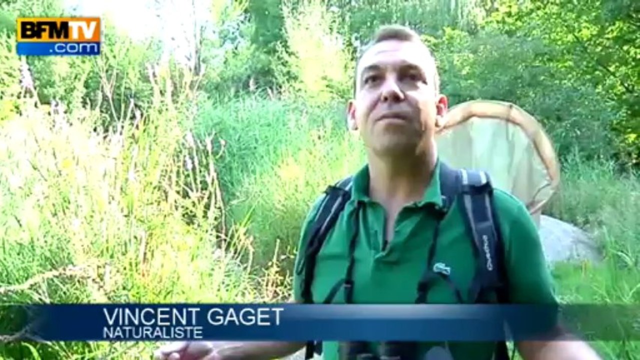 Rentrée: comment les communes se sont préparées au nouveaux rythmes scolaires - 02/09