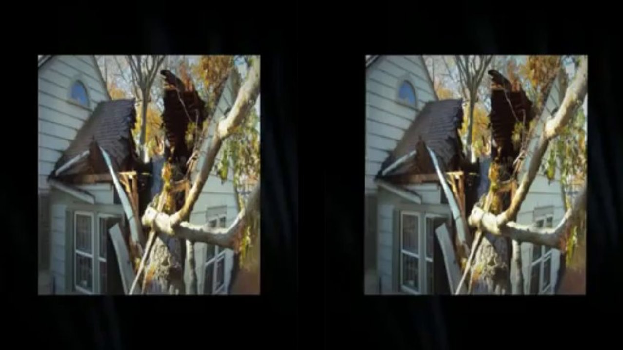 AAA TREE SERVICE NEW YORK