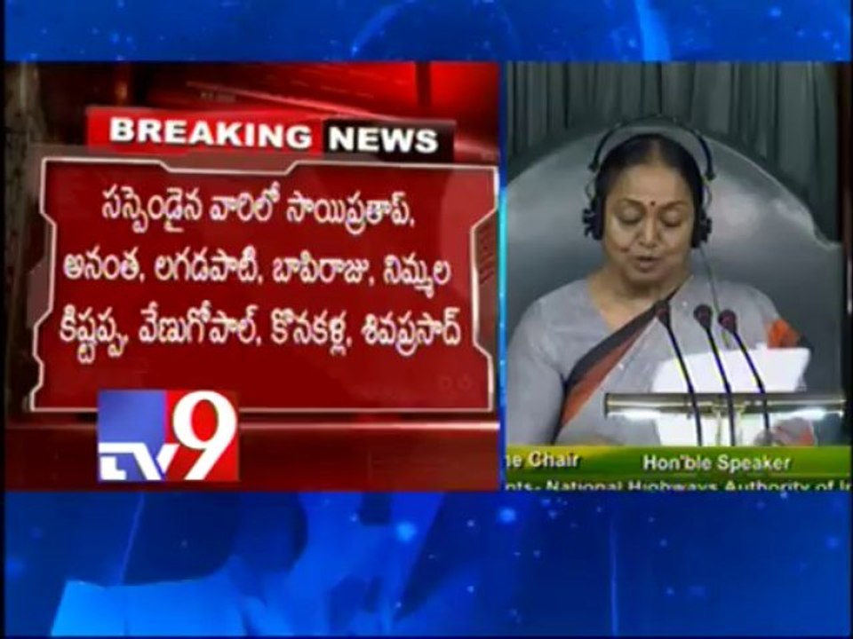 Seemandhra MP suspended from Loksabha