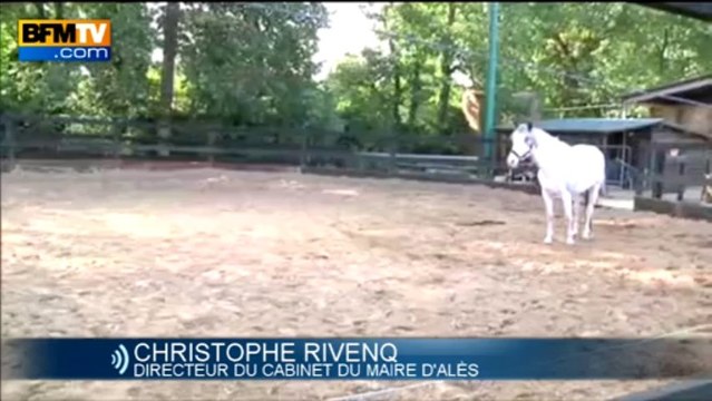 Nouveau scandale de trafic de viande de cheval - 02/09