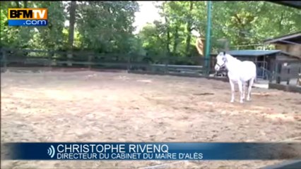 Nouveau scandale de trafic de viande de cheval - 02/09