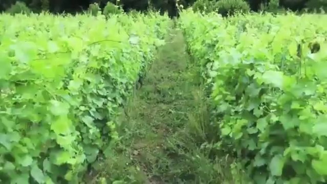 Torgny - Entre Ciel et Terre 0906