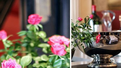 An English Rose Garden Display by Event Florist in London Todich Floral Design