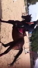 1er concours de  Qualité Javo