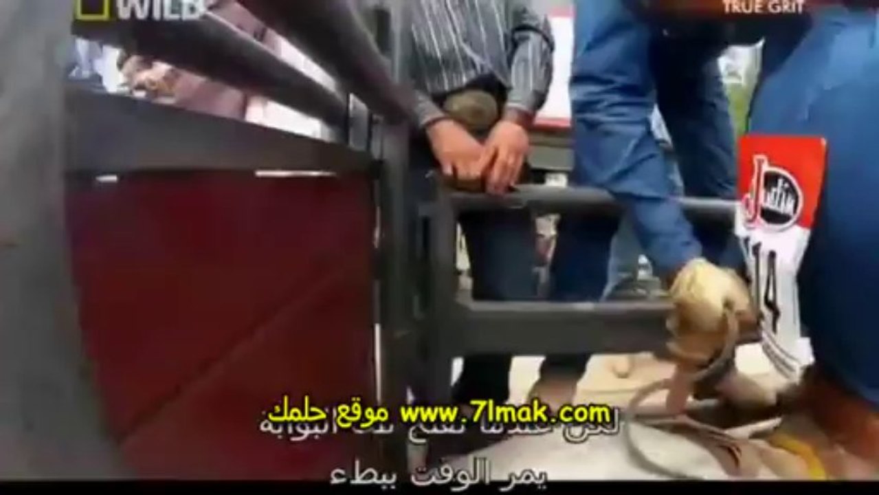 الفيلم الوثائقى الغرب المتوحش