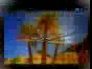 أمثال الحديث النبوي