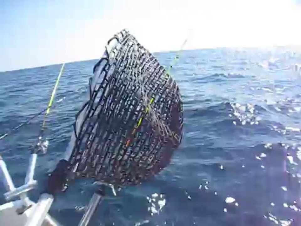 Ouverture calas 2013