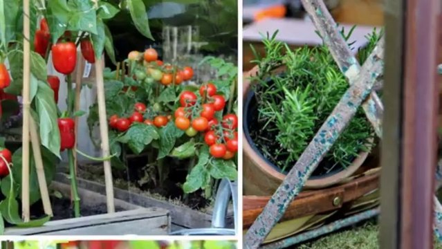 Corporate Flower Arrangements by Professional Florist Team in London