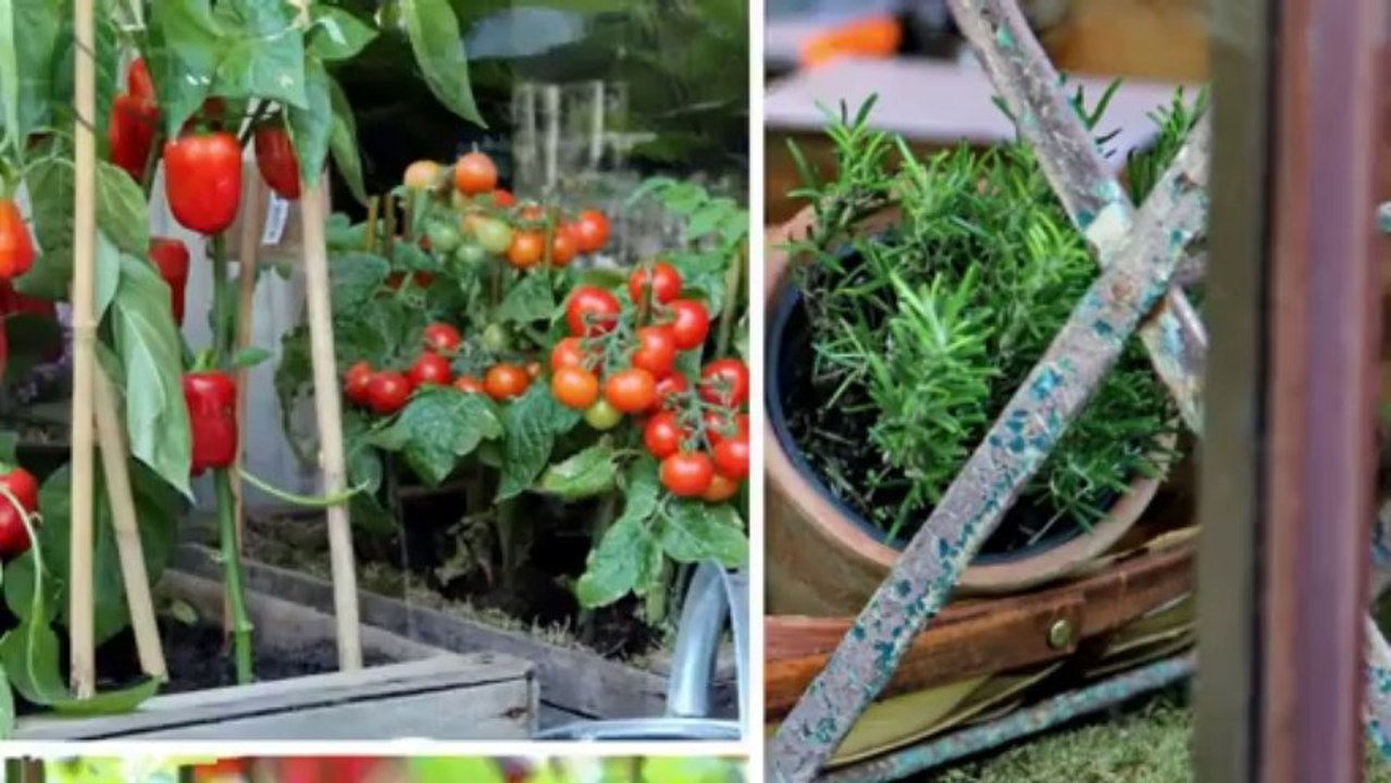 Corporate Flower Arrangements by Professional Florist Team in London