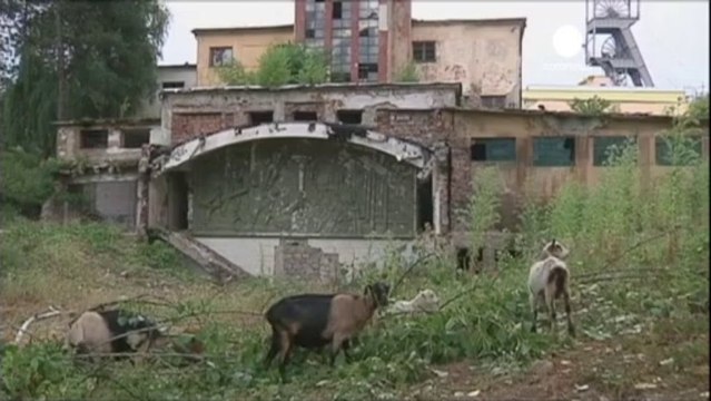 Aninoasa: Romanya'nın ilk iflas eden kasabası