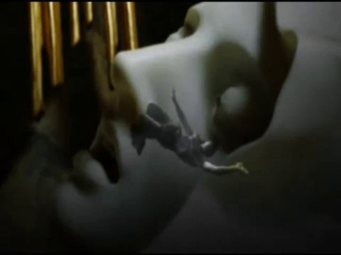 Irina Elena Petrescu - Il canto dei Lalilù