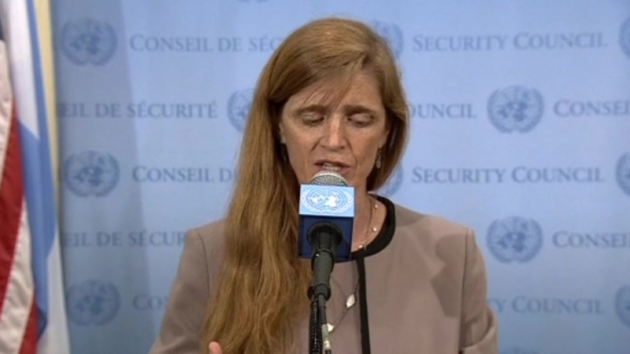 U.S. envoy sees no viable path forward on Syria in U.N. Security Council