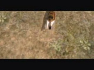 Zelda TP - Bass Master Gameplay