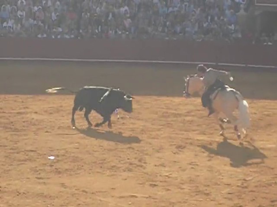 Ventura con Remate. Banderillas cortas