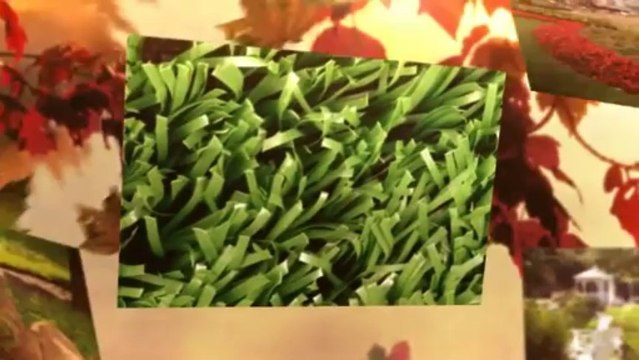 Joe's Lawn Service - (717) 460-4826