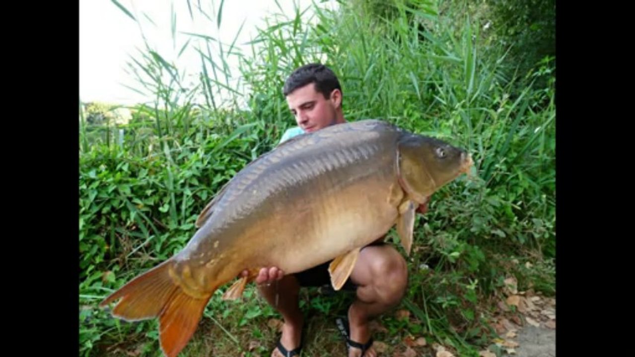 Résultat session carpe Julien team TFS