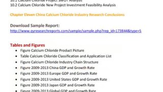 Global And China Calcium Chloride Industry 2013 at http://www.qyresearchreports.com/