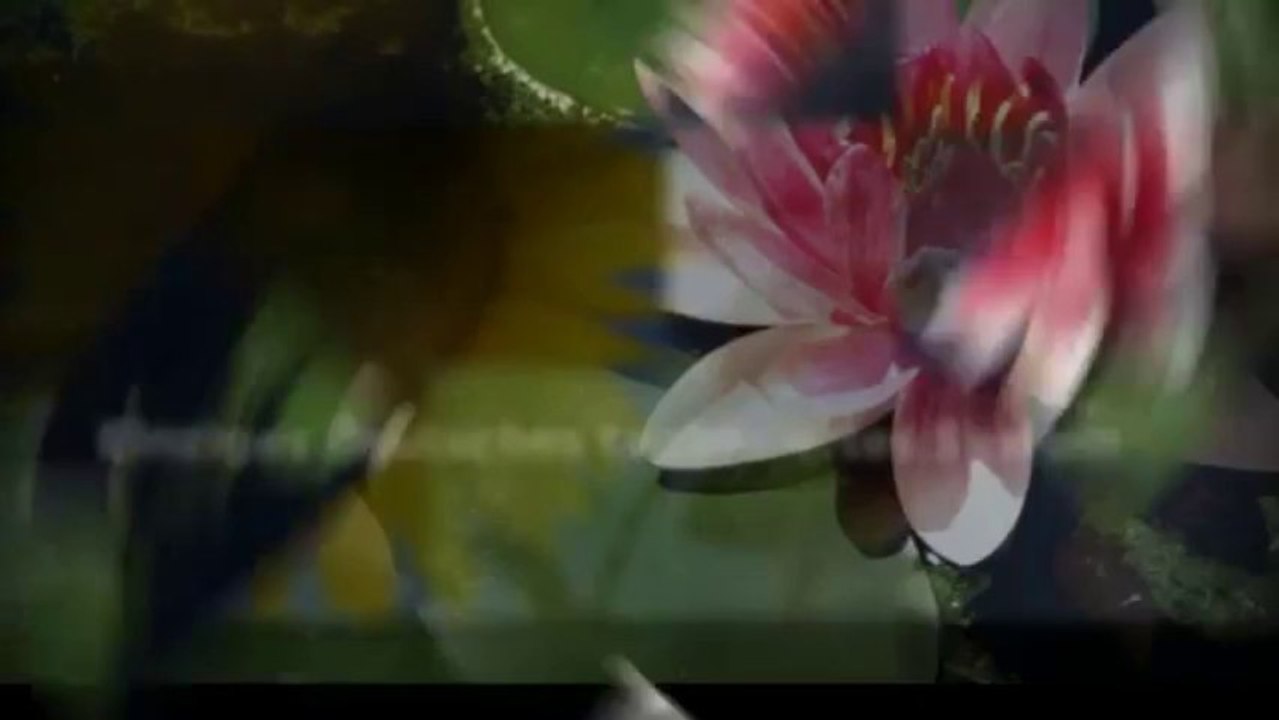 Emailmarketing mit klick-tipp