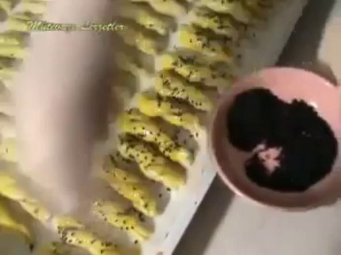 Ispanaklı Kurupasta Tarifi - Nefis Yemek Tarifi