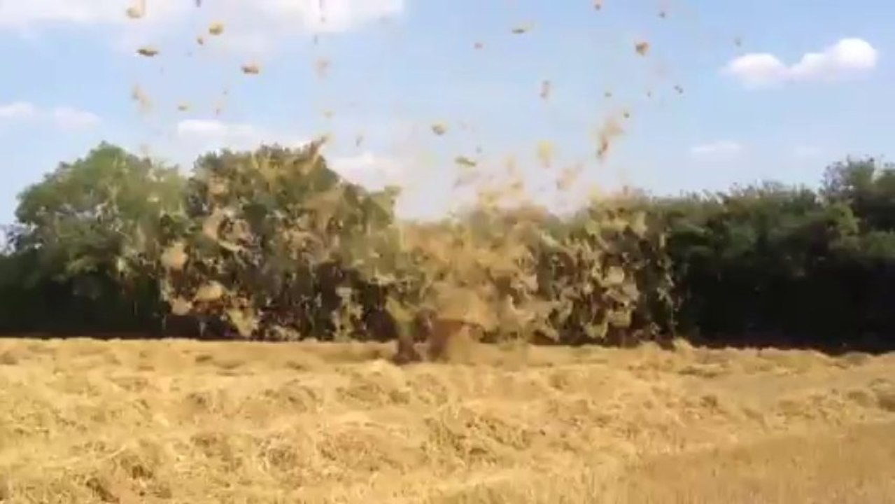 Une mini tornade de paille.
