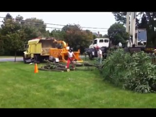 Dave & Donny of Joshua Tree Service!