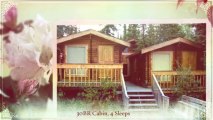 Rental Cabin for Vacation Denali Park Alaska-Rentals Alaska