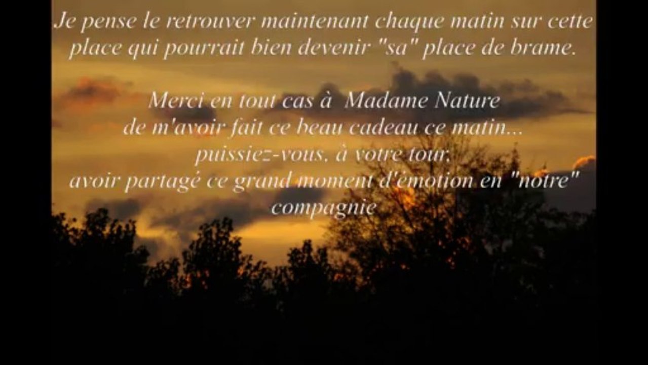 à l'affût