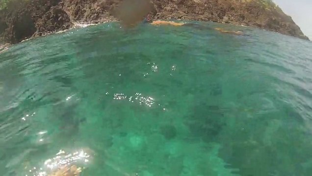 Bouillante reserve cousteau : snorkeling 1/2