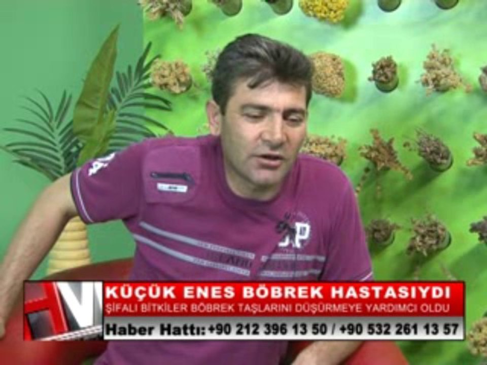 06-ENES ÇOŞKUN_BÖBREK