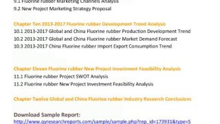 Global And China Fluorine Rubber Industry 2013