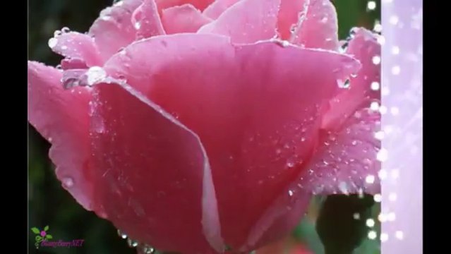 GIVENCHY Very Irresistible Apă De Toaletă Spray