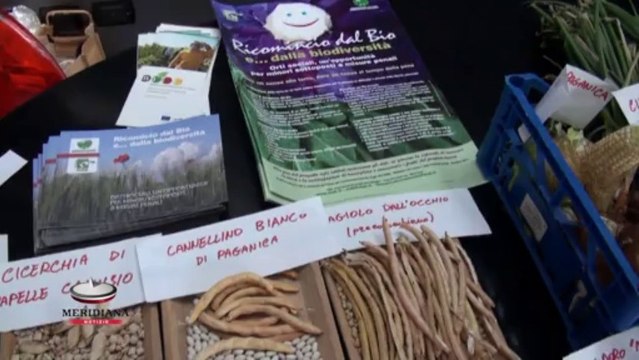 Ricomincio da Bio, per i giovani detenuti l'inserimento lavorativo passa per l'agricoltura biologica