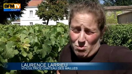 Le retard des vendanges: une aubaine pour les chômeurs - 03/09