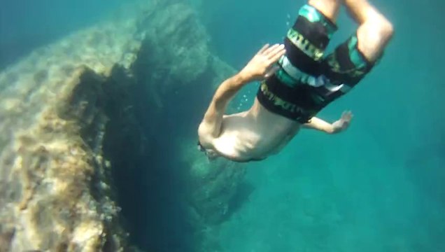 les poissons-clowns vivent toujours en couple