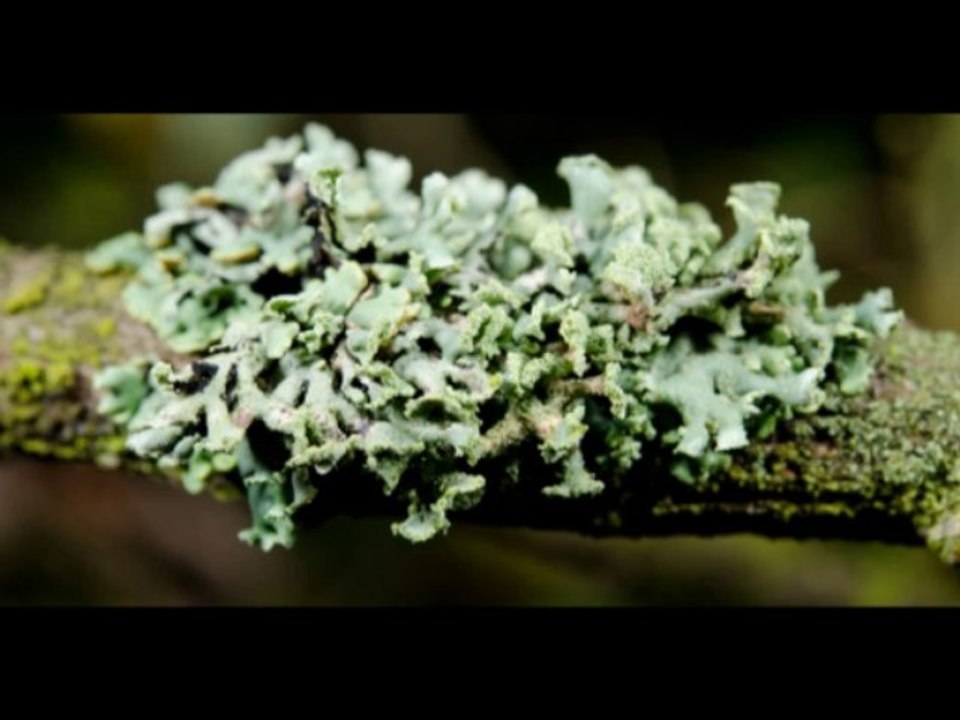 Traitement des déchets ménagers - SITOM vallées du Mont Blanc