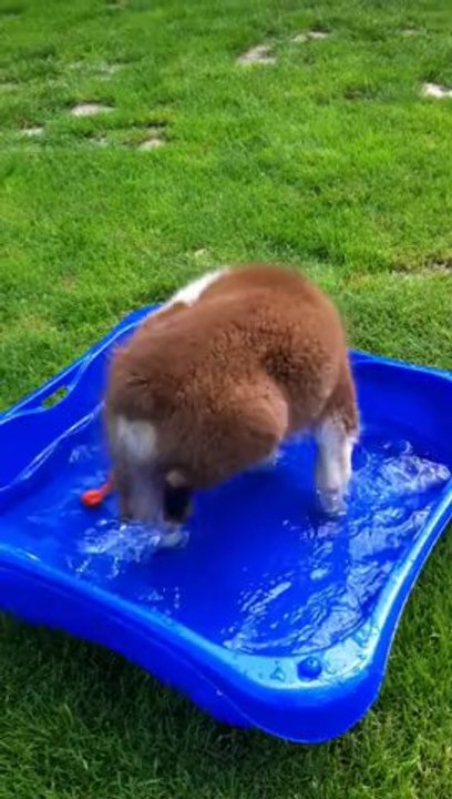Bébé soul et la bassine